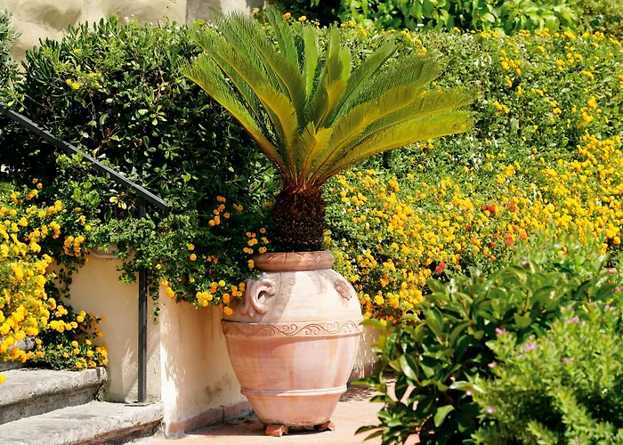 San Francesco Al Monte Neapel