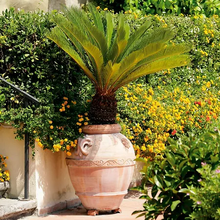 San Francesco Al Monte Napoli